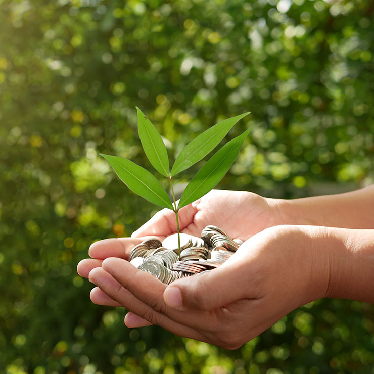 Sustainable & Cost-Effective Commercial Waste Disposal Services